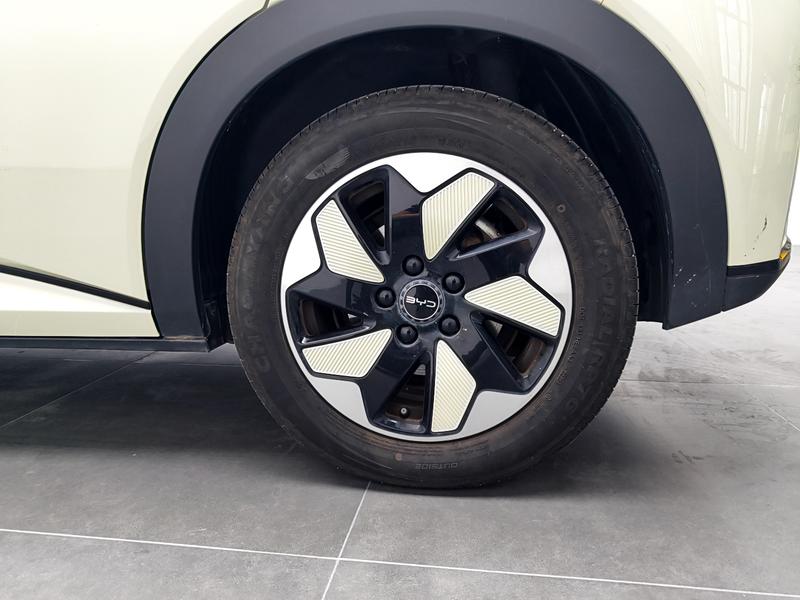 BYD dolphin 2025