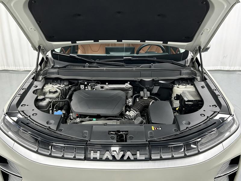 Haval Haval Xiaolong MAX 2025