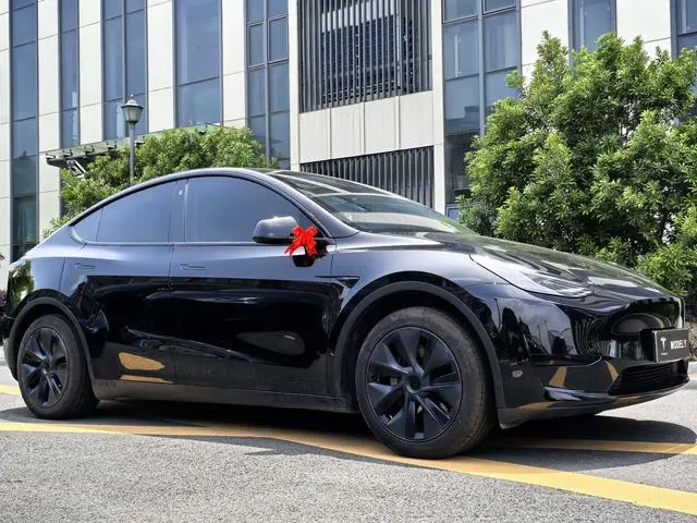 Tesla Model Y Rear-wheel drive version
