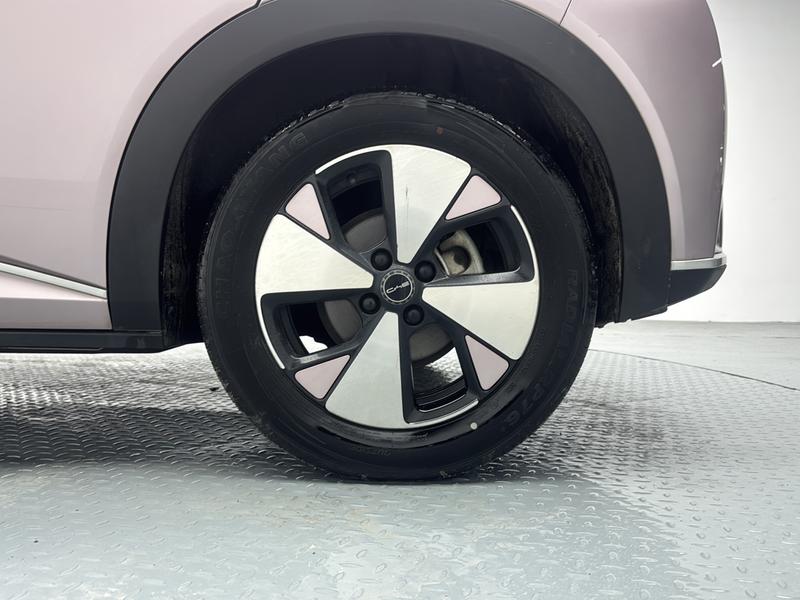 BYD dolphin 2023