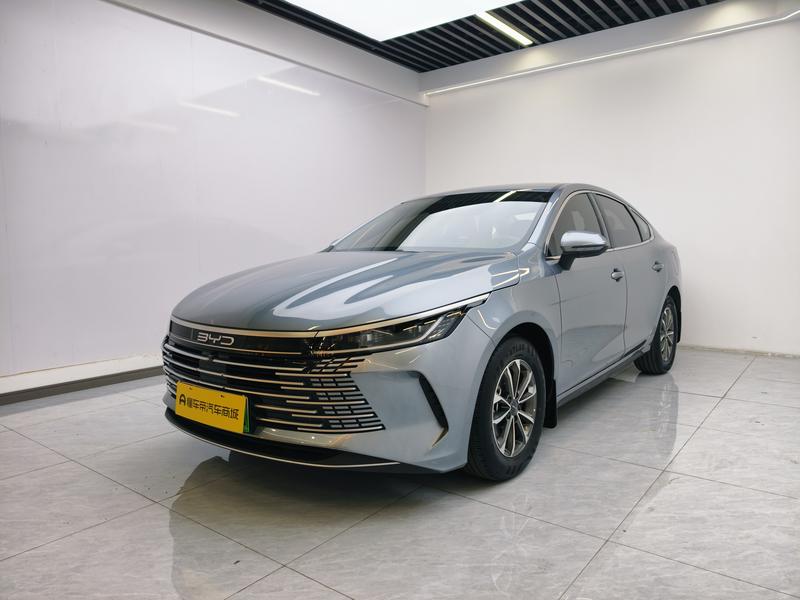 BYD Destroyer 05 2024
