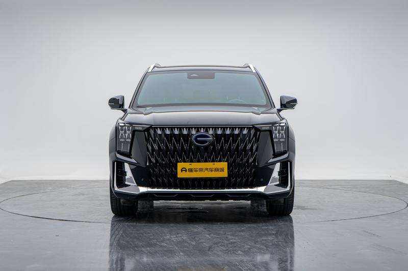 Trumpchi Trumpchi GS8 2024