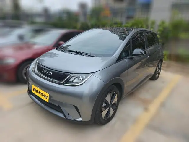 BYD dolphin Fashion edition