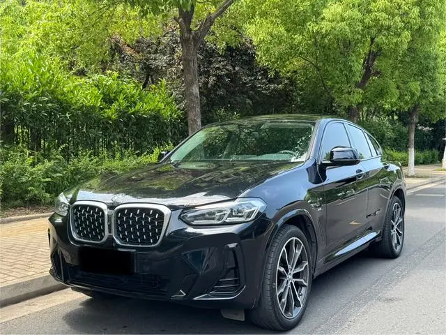 BMW BMW X4 xDrive 30i M sports suit