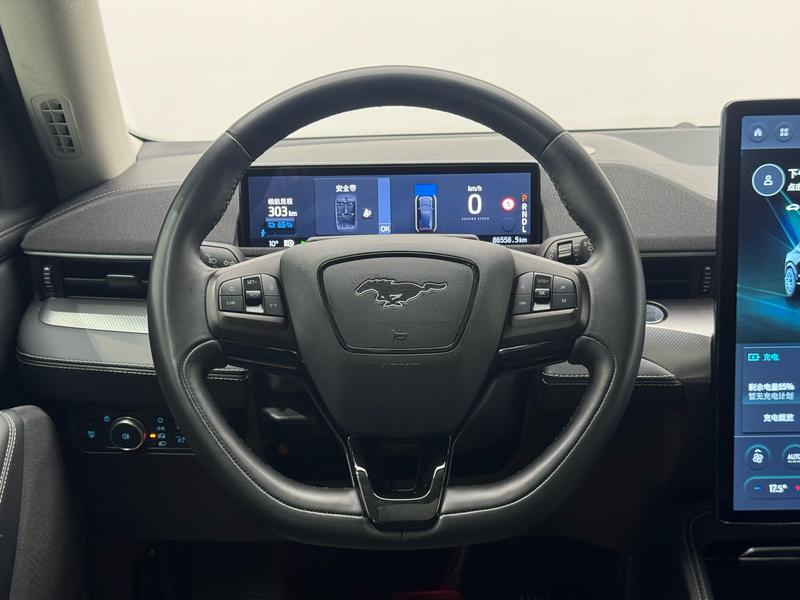 Ford Ford Electric Horse 2021