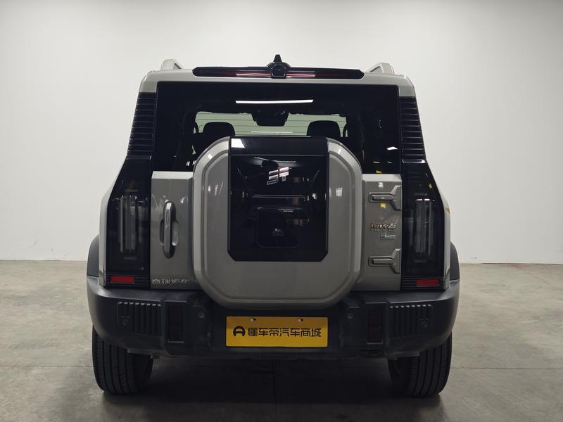 Jetour Jetour Traveler C-DM 2024