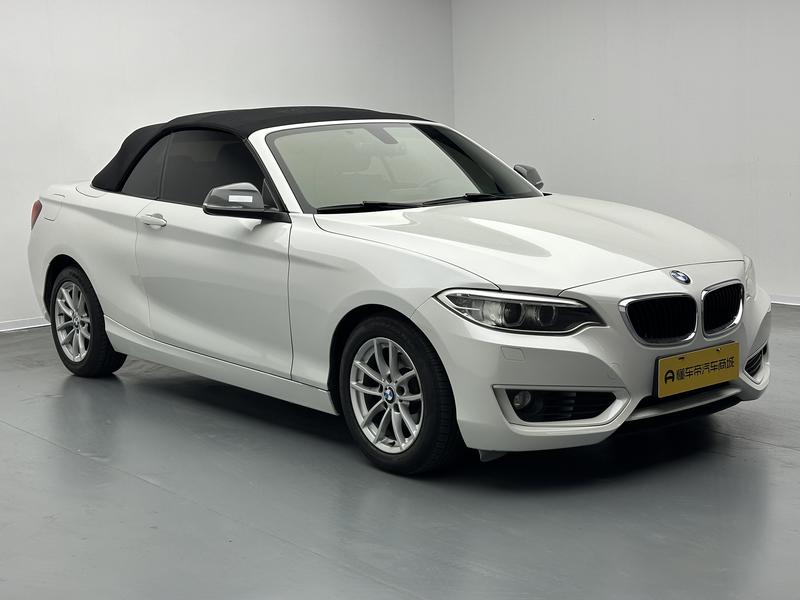BMW BMW 2 Series (imported) 2015