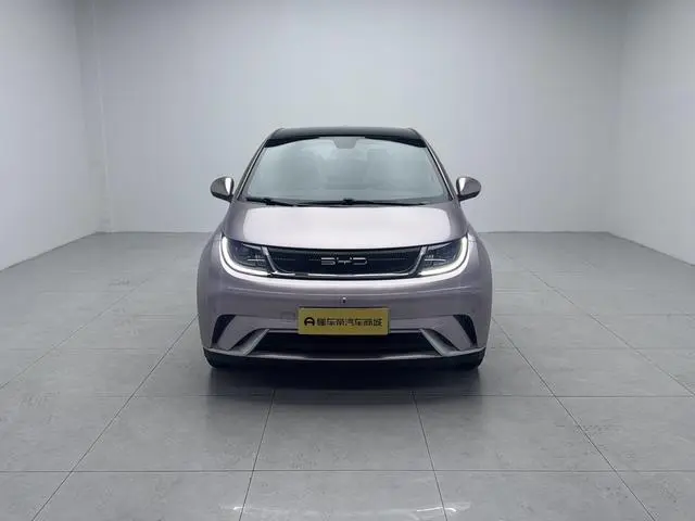 BYD dolphin Fashion edition