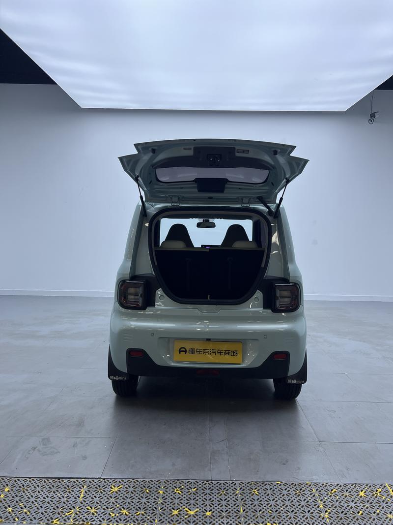 Geely Galaxy panda 2024