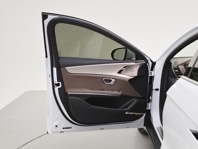 BYD Han EV 2021