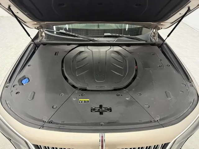 Hongqi Hongqi H9 3.0T Zhilian flag collar four-seater version