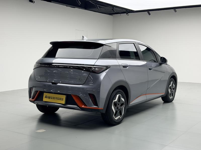 BYD dolphin 2021