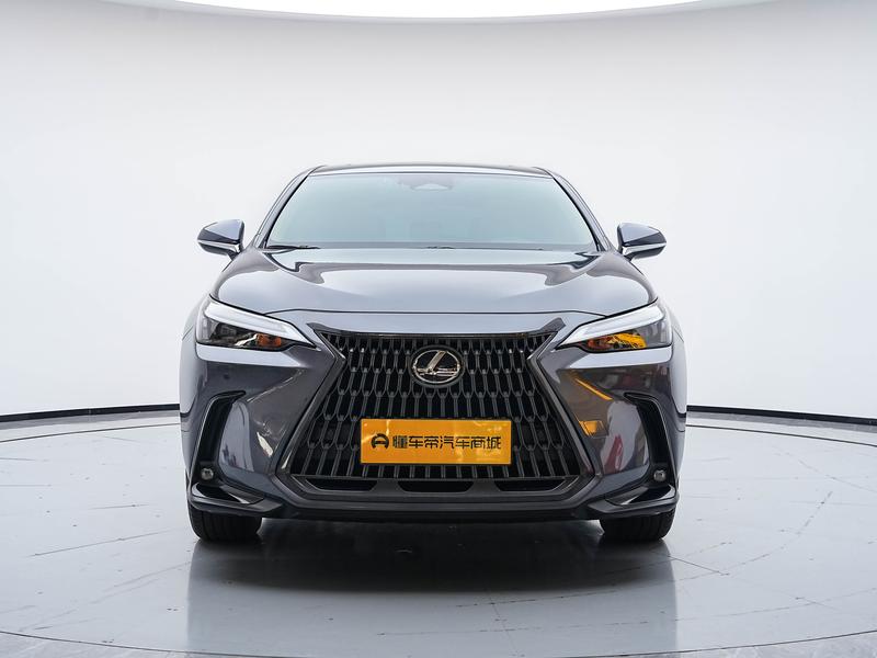 Lexus Lexus NX PHEV 2023