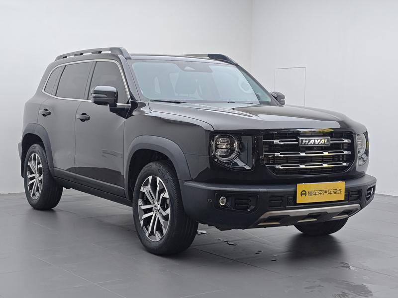 Haval 长城大狗 2021