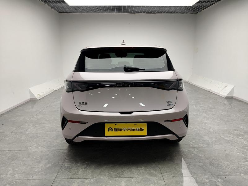 BYD dolphin 2025