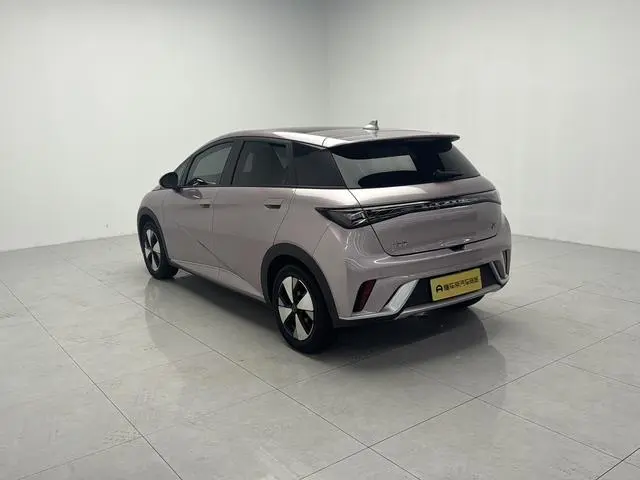 BYD dolphin Fashion edition
