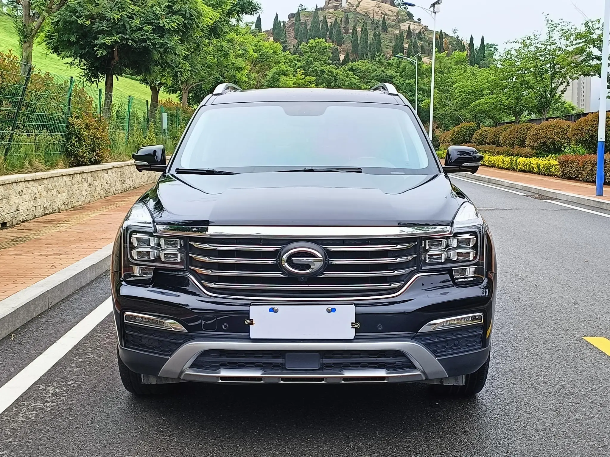 GAC Trumpchi GS8 320T two-wheel drive luxury Zhilian Edition 7 seats