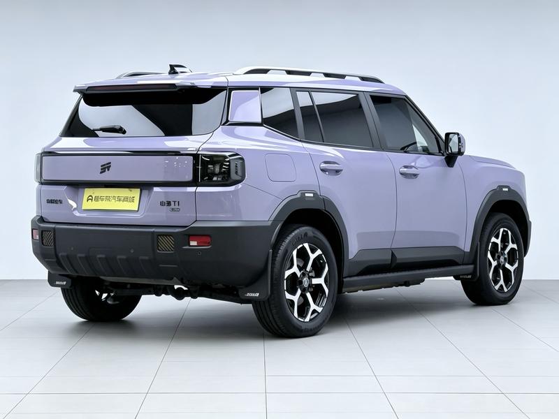 Jetour Shanhai Jietu Shanhai T1 2024
