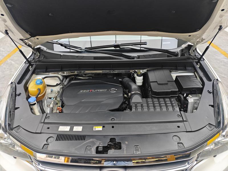 Trumpchi Trumpchi GS8 2019
