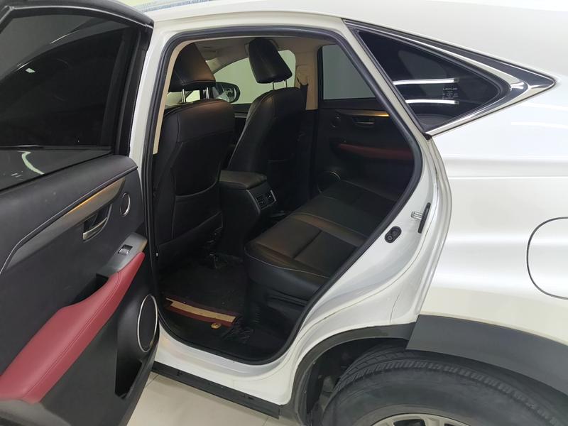 Lexus Lexus NX 2020