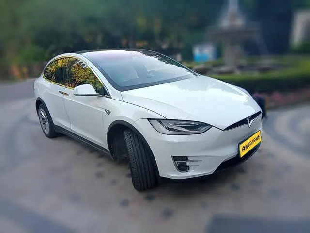 Tesla Model X 100D long battery life version