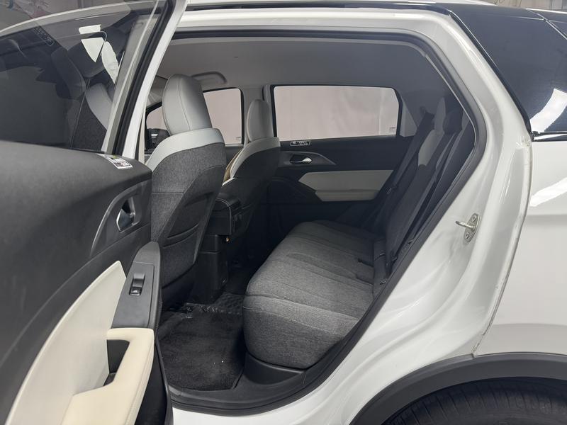 Geometry Geely Geometry E Firefly 2024