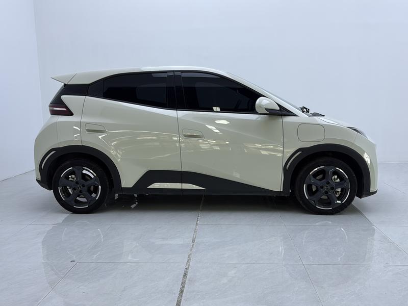 BYD seagull 2024