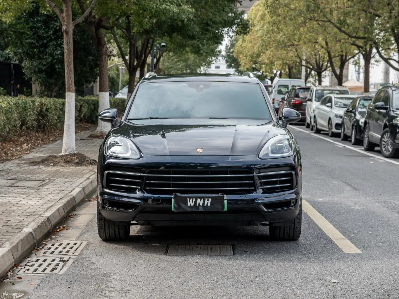 Porsche Cayenne E-Hybrid Cayenne E-Hybrid 2.0T
