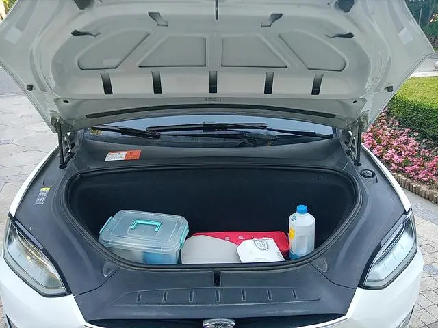 Tesla Model X 100D long battery life version