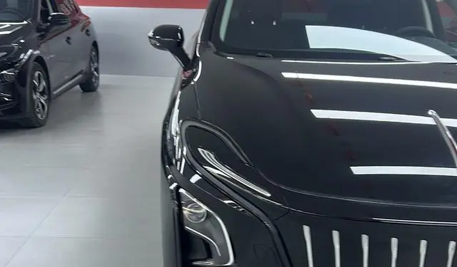 Hongqi Hongqi E-QM5 Facelift basic travel version