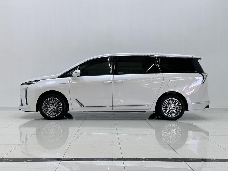 Buick Buick GL8 PHEV 2024