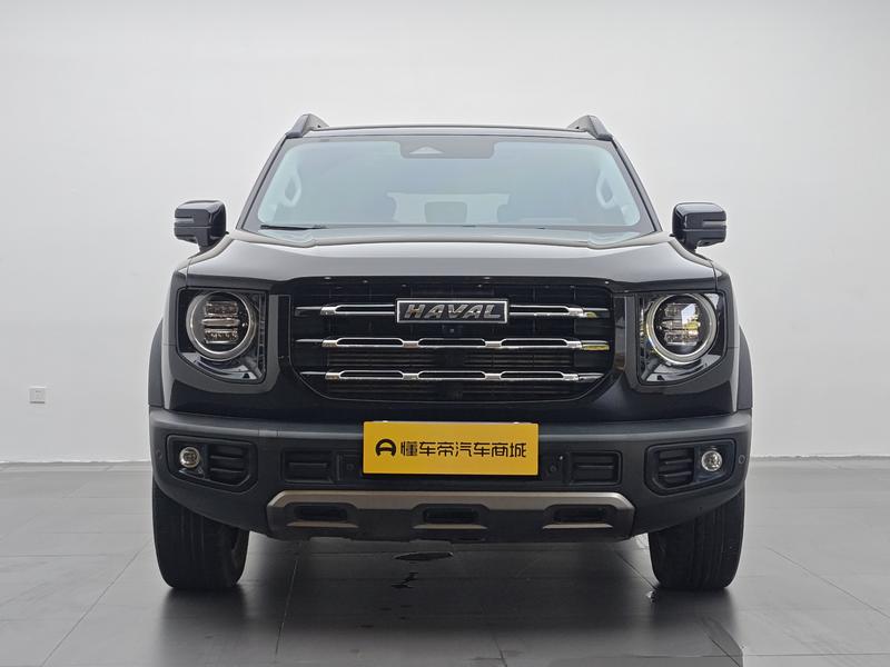 Haval 长城大狗 2021