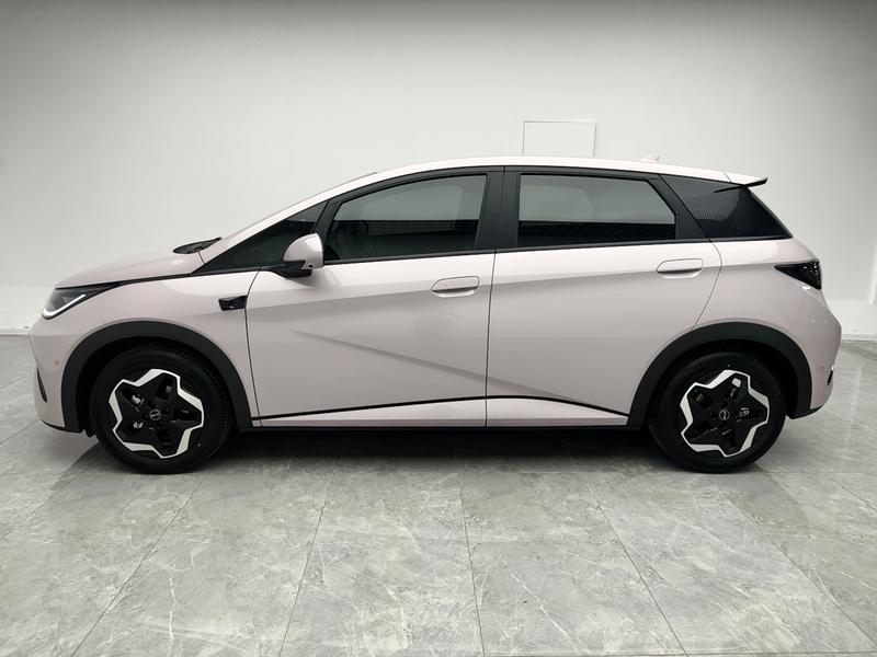 BYD dolphin 2025