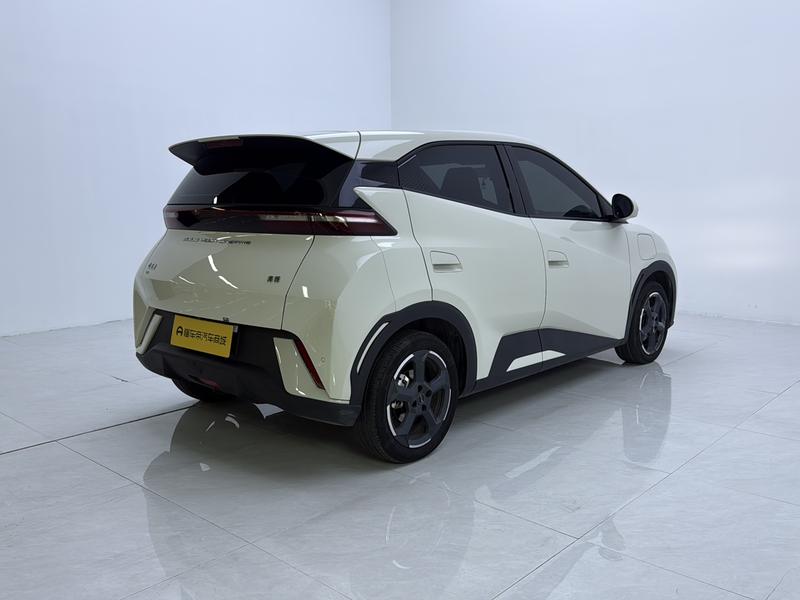 BYD seagull 2024