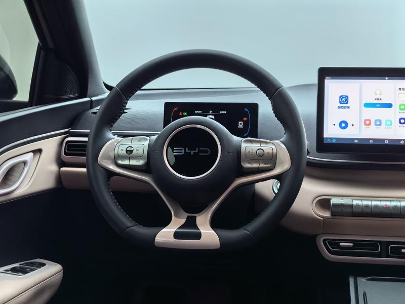 BYD seagull 2025