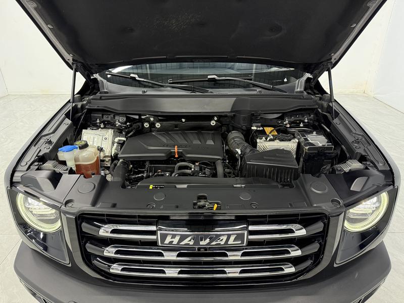 Haval Haval Big Dog 2021