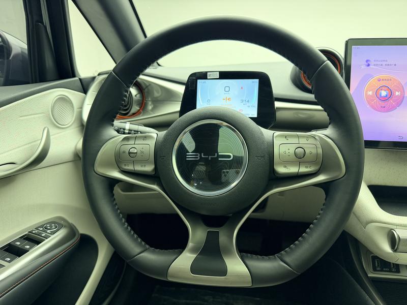 BYD dolphin 2021