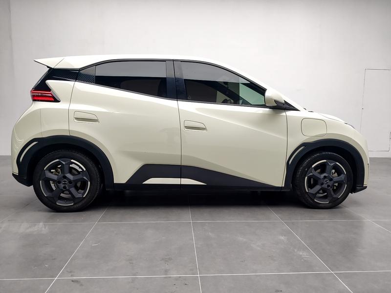 BYD seagull 2024