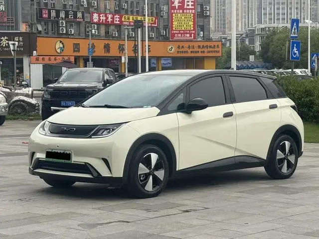 BYD dolphin Fashion edition