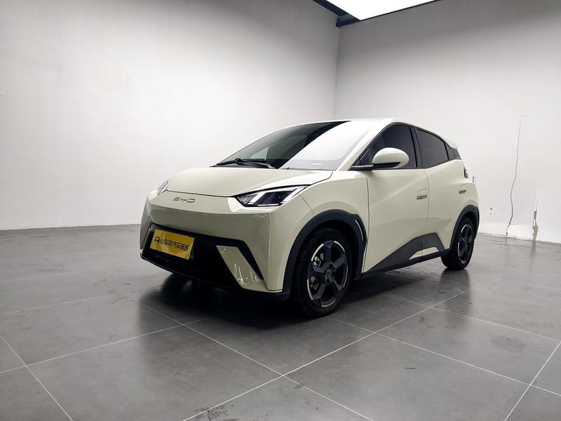 BYD seagull 2024
