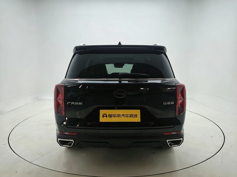 Trumpchi Trumpchi GS8 2022