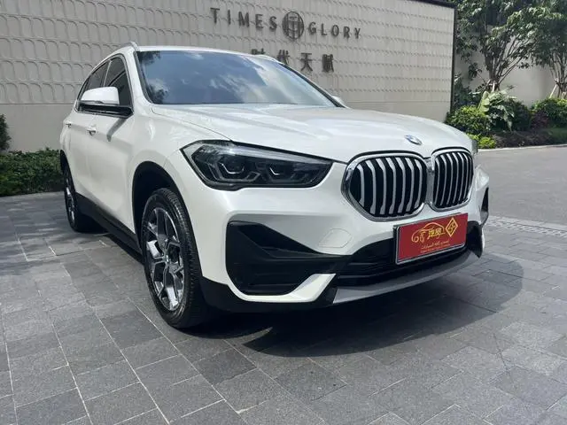 BMW BMW X1 sDrive25Li leading type