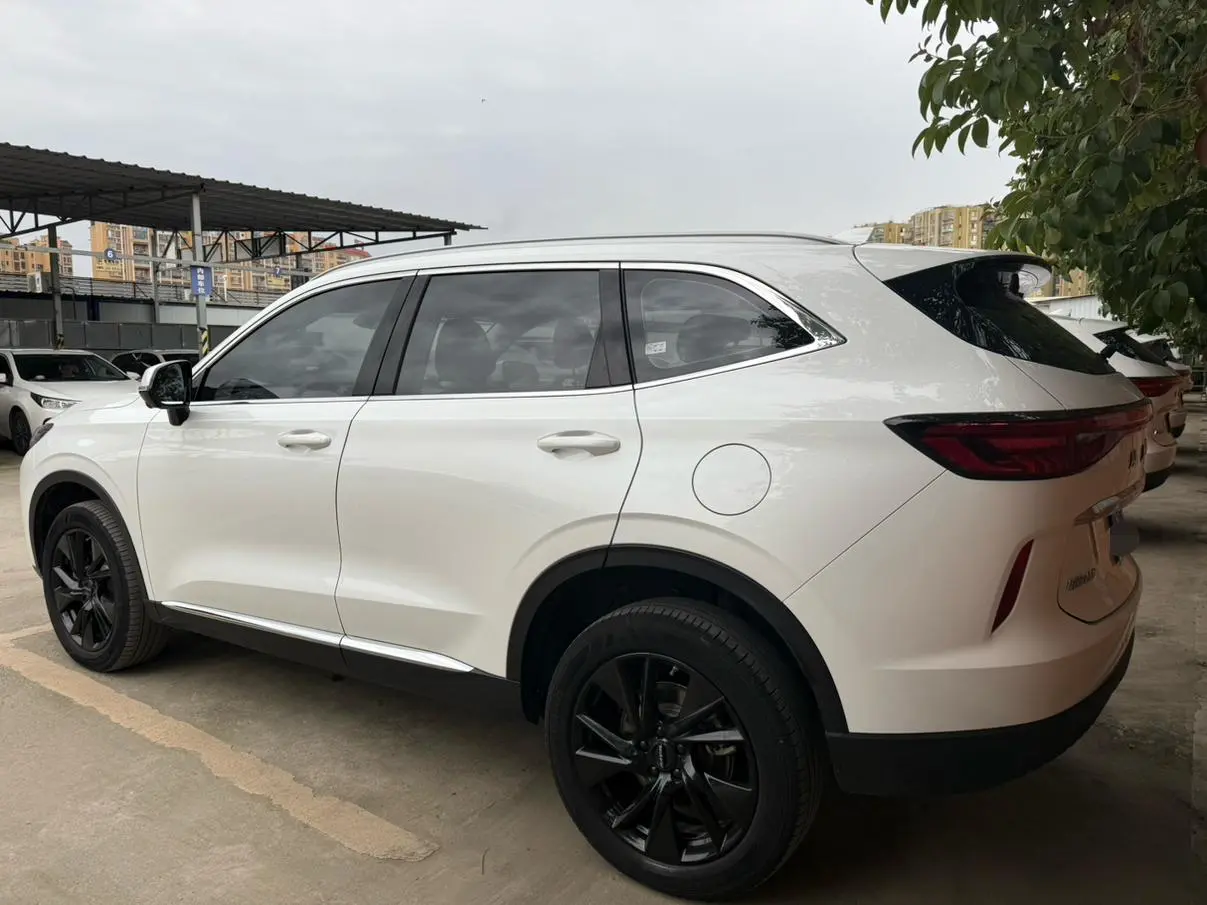 Haval Haval H6 The third generation 2.0T automatic four-wheel drive Max version