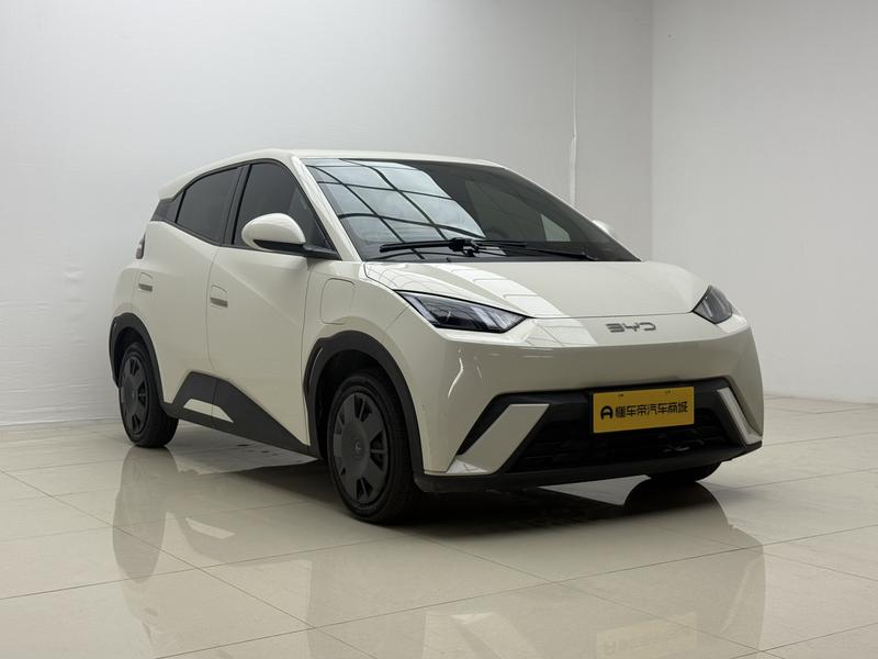 BYD seagull 2025