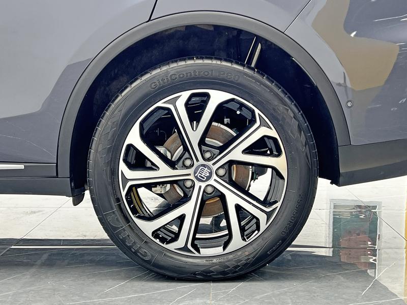 BYD Tang DM 2025