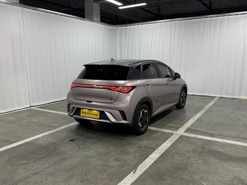BYD dolphin 2021