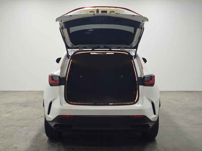 Lexus Lexus NX 2024