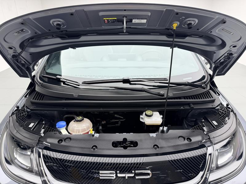 BYD dolphin 2021