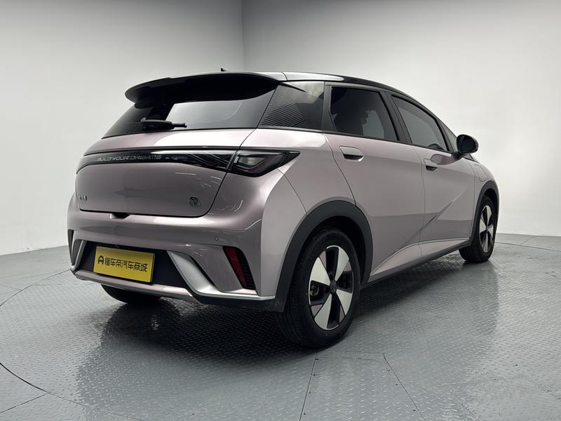 BYD dolphin 2023