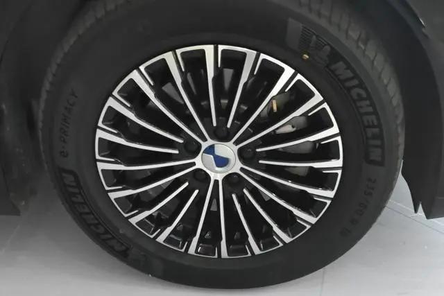 Denza Denza D9 DM 980 four-wheel drive honor type